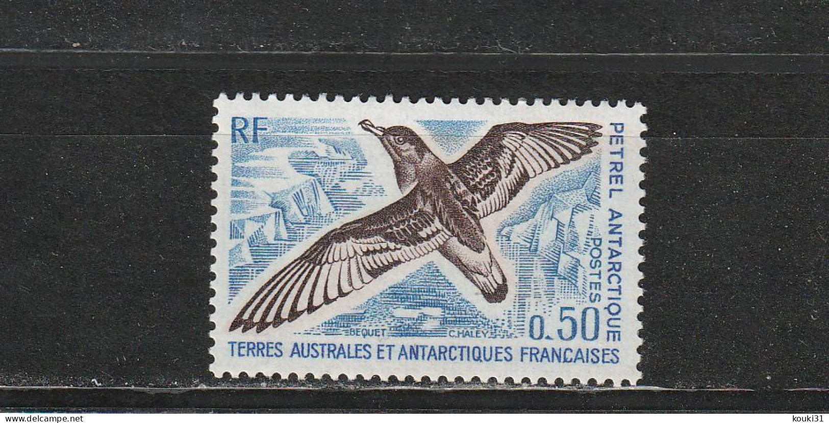 TAAF YT 56 ** : Pétrel Antarctique - 1976 - Unused Stamps