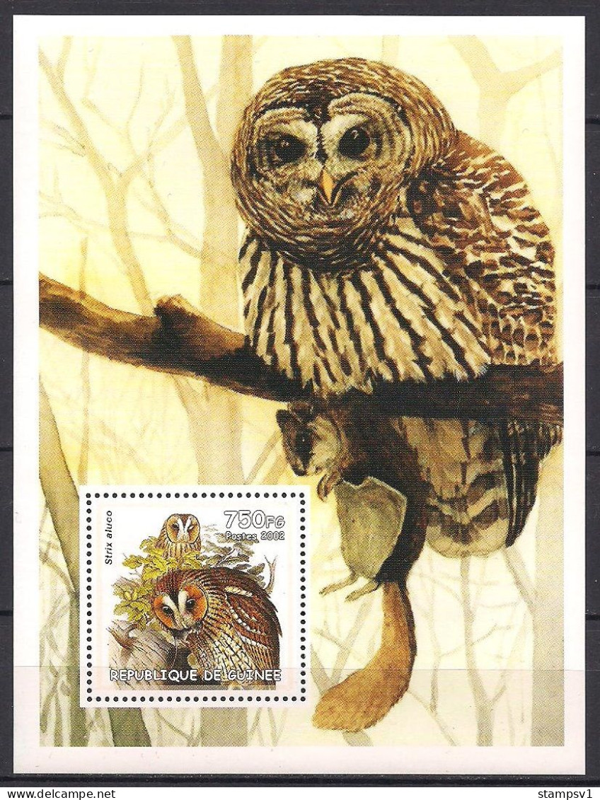 Owls. (196a) - Búhos, Lechuza