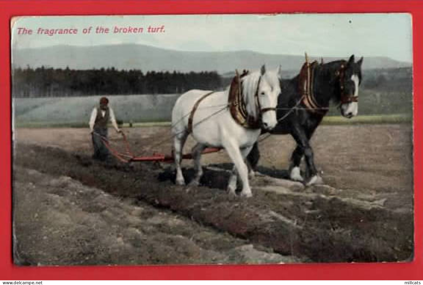 HORSES  FARMING  TEAM PLOUGHING   FRAGRANCE OF BROKEN TURF  Pu 1944 - Cavalli