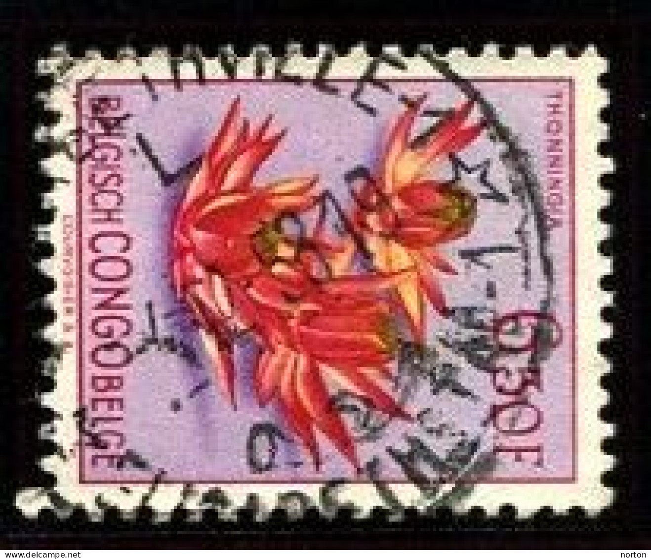 Congo Elisabethville 1 Oblit. Keach 12B(L)1 Sur C.O.B. 317 Le 04/12/1958 - Gebruikt
