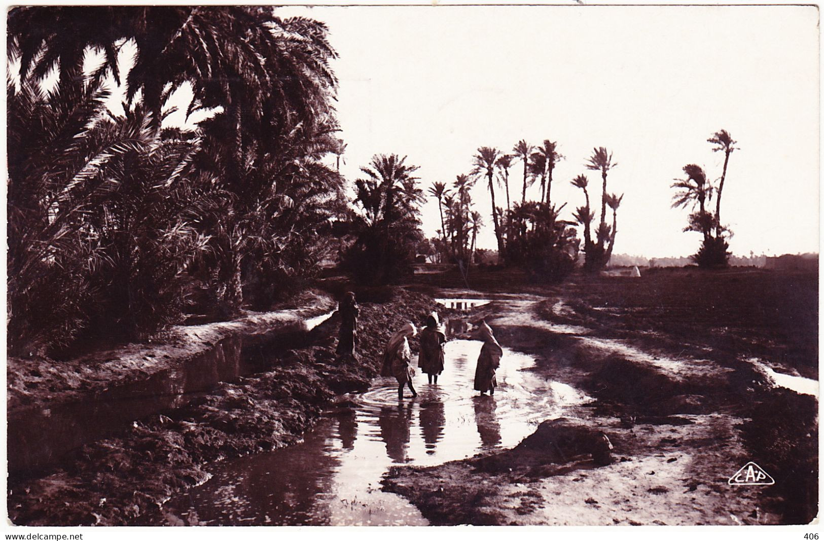 Algérie - Dans L'Oasis - Scenes