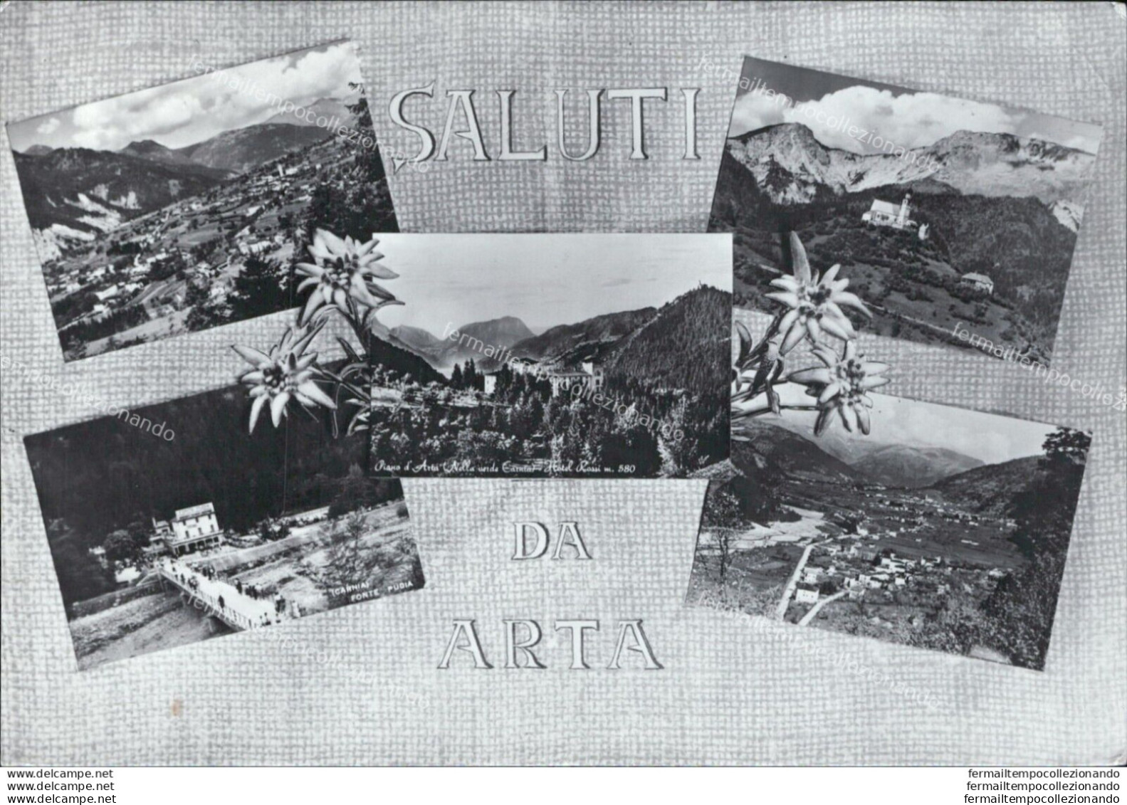 Ar106 Cartolina Saluti Da Arta Provincia Di Udine - Udine