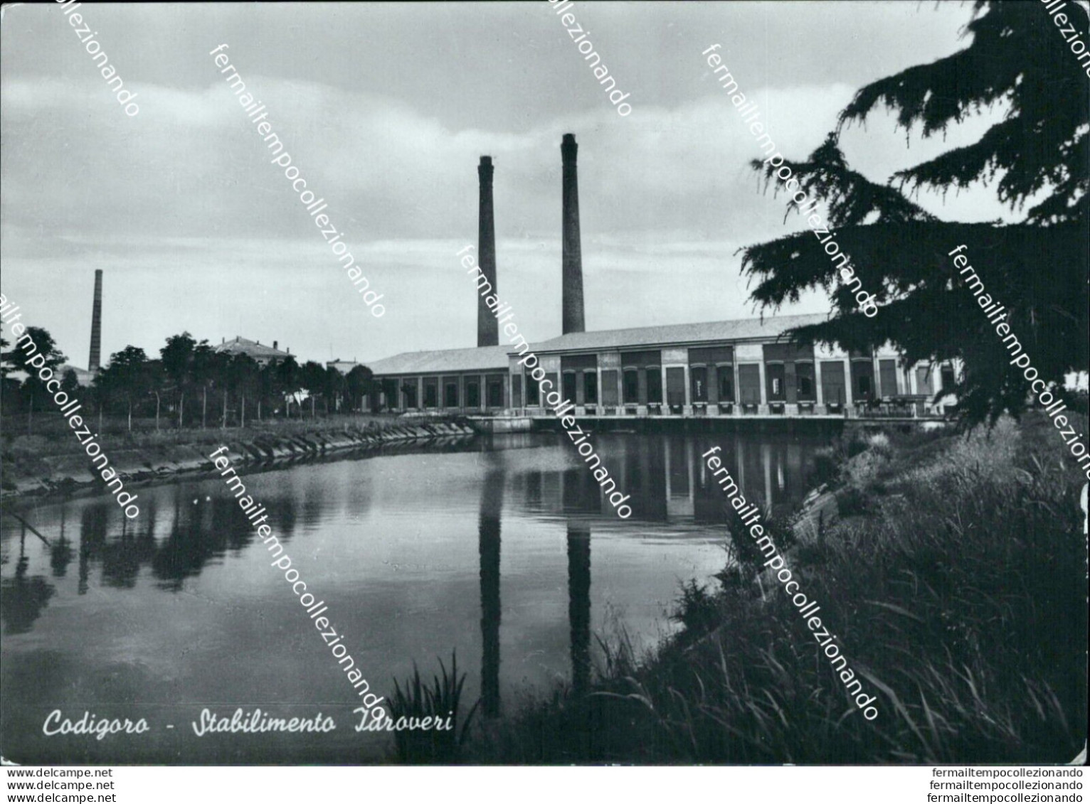 Ai631  Cartolina Codigoro Stabilimento Idroveri Provincia Di Ferrara - Ferrara