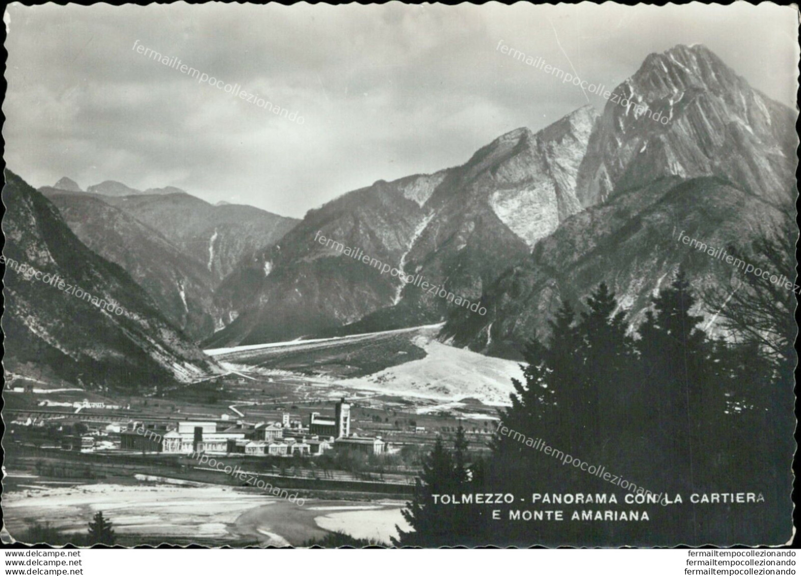 Ah404 Cartolina Tolmezzo Panorama Con La Cartiera E Monte Amariana Udine - Udine