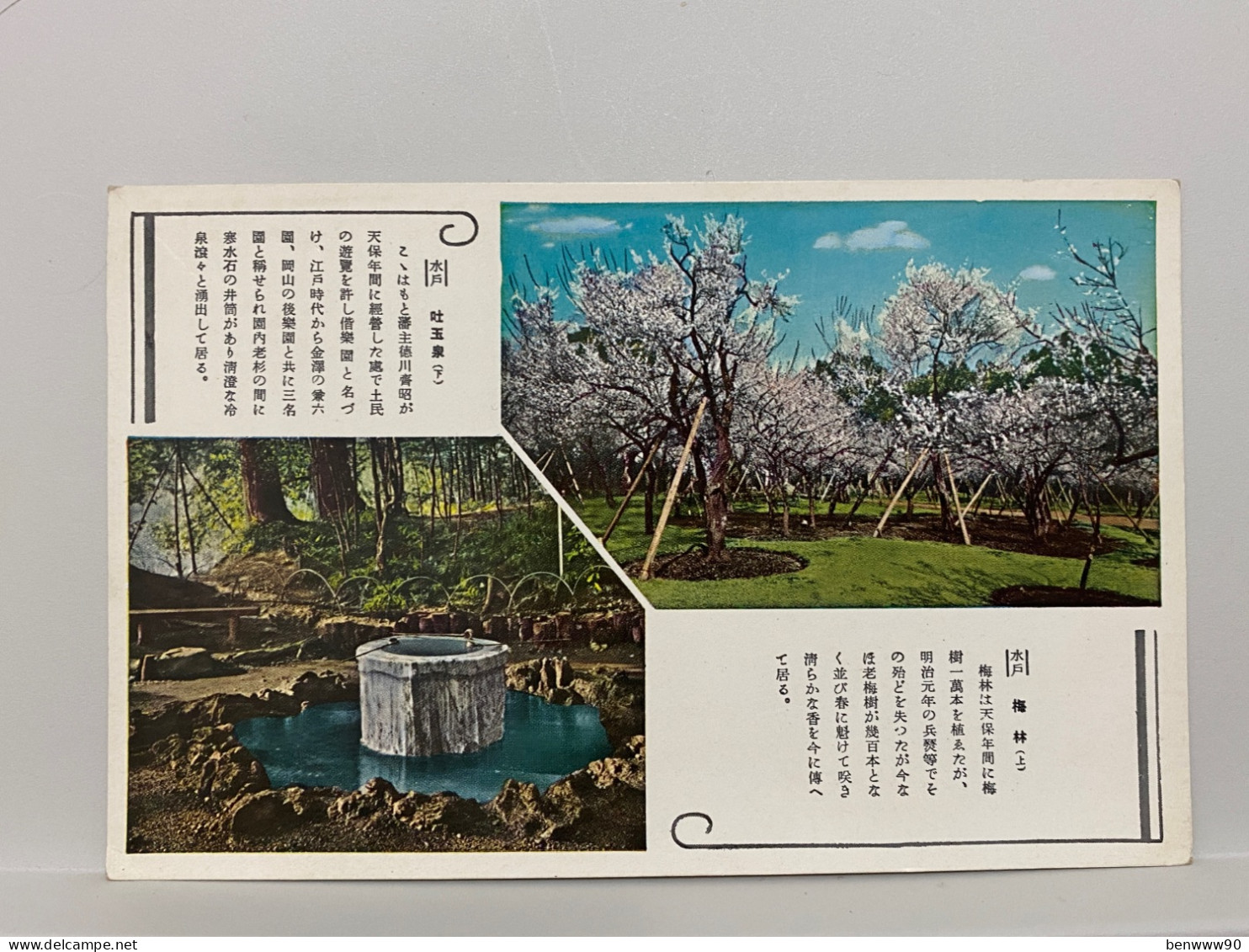 水戶 梅林 吐玉泉 茨城 Plum Garden Togyokusen  Mito Ibaraki , JAPAN JAPON POSTCARD - Autres & Non Classés