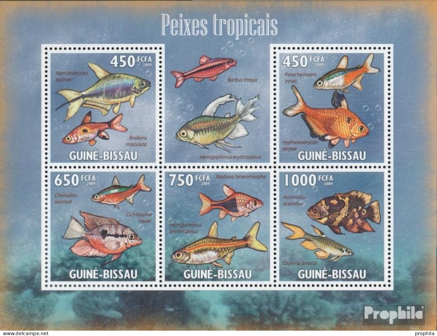 Guinea-Bissau 4468-4472 Kleinbogen (kompl. Ausgabe) Postfrisch 2009 Tropische Fische - Guinea-Bissau