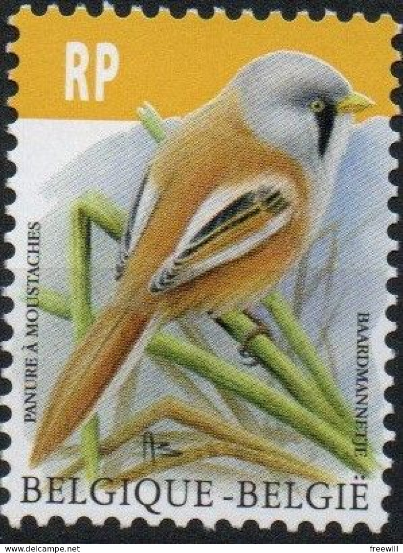 Belgique België Belgium Oiseau Vogel Bird 2019 XXX - Unused Stamps
