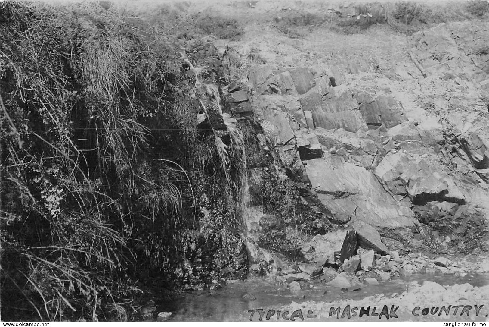 CPA / TURQUIE / CARTE PHOTO / TYPICAL MASHLAK COUNTRY - Turchia