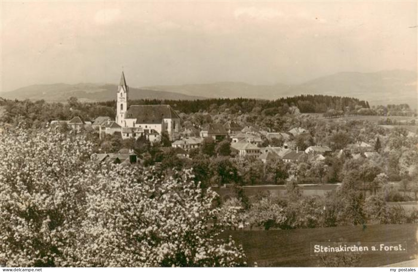 73940177 Steinakirchen_Forst_Niederoesterreich_AT Panorama Mit Kirche - Autres & Non Classés