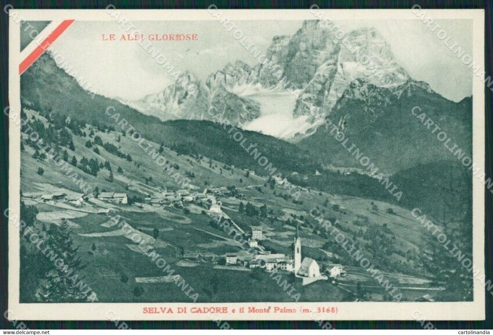 Belluno Selva Di Cadore Carducci Cartolina KV2949 - Belluno