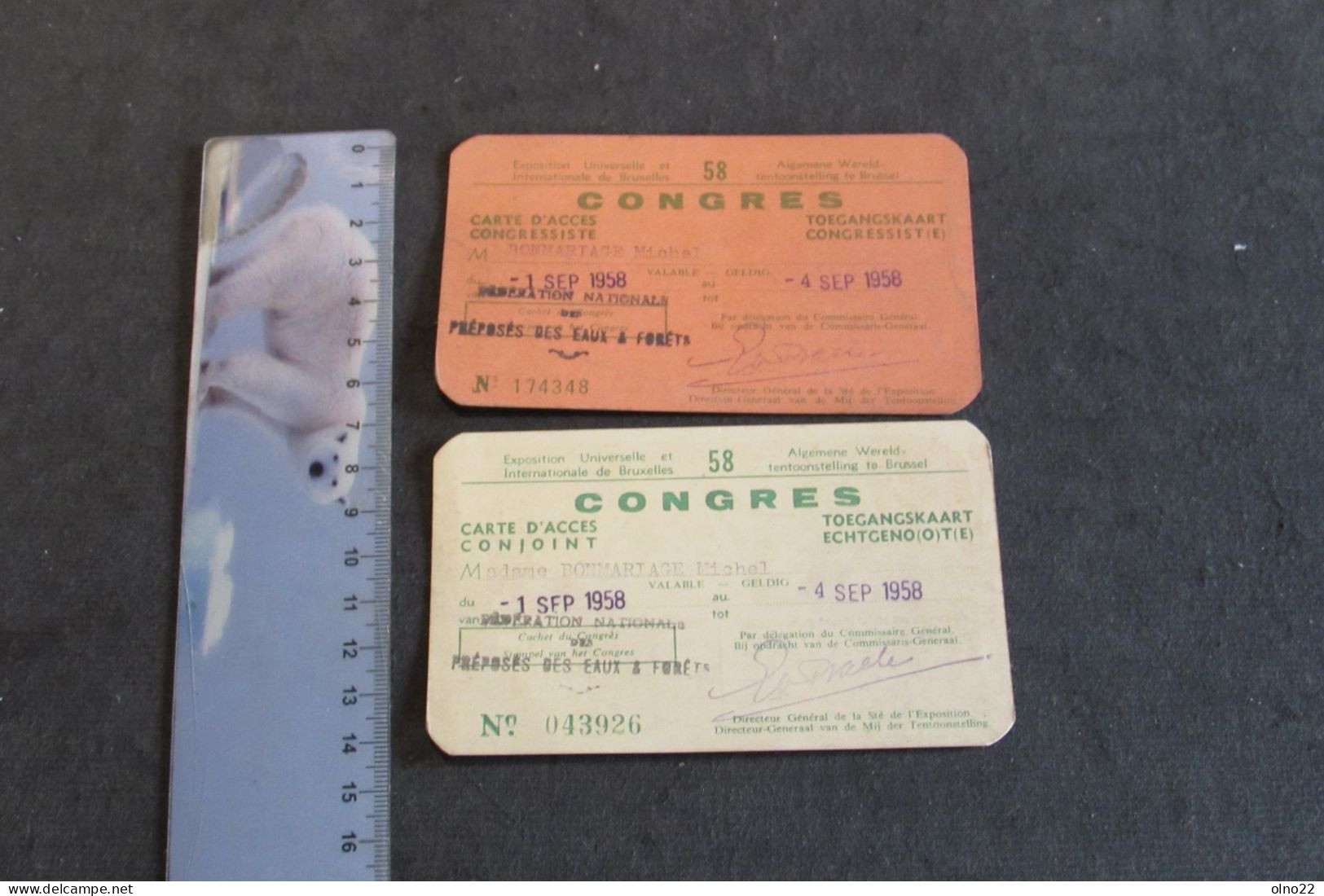 BRUXELLES EXPO 1958 - CARTE D'ACCES A UN CONGRES DU 1 AU 4/9/58 - A  M. ET Mme BONMARIAGE MICHEL - VOIR SCANS - Tickets D'entrée