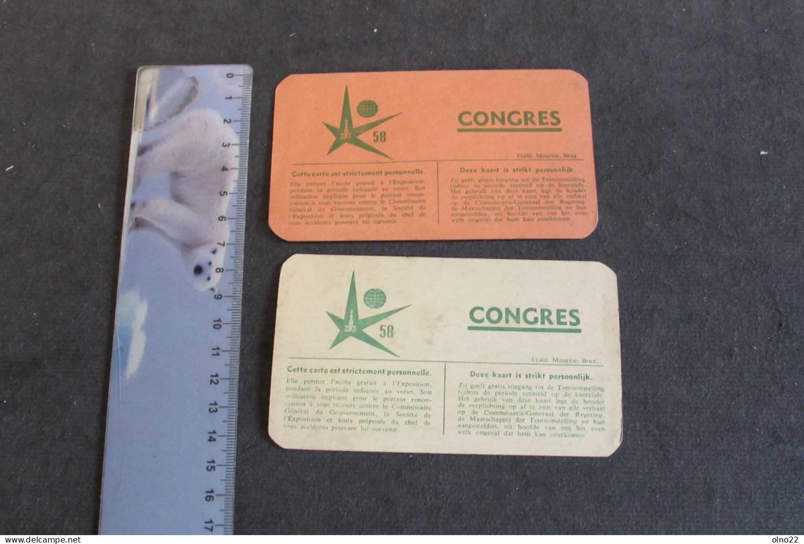 BRUXELLES EXPO 1958 - CARTE D'ACCES A UN CONGRES DU 1 AU 4/9/58 - A  M. ET Mme BONMARIAGE MICHEL - VOIR SCANS - Tickets - Entradas