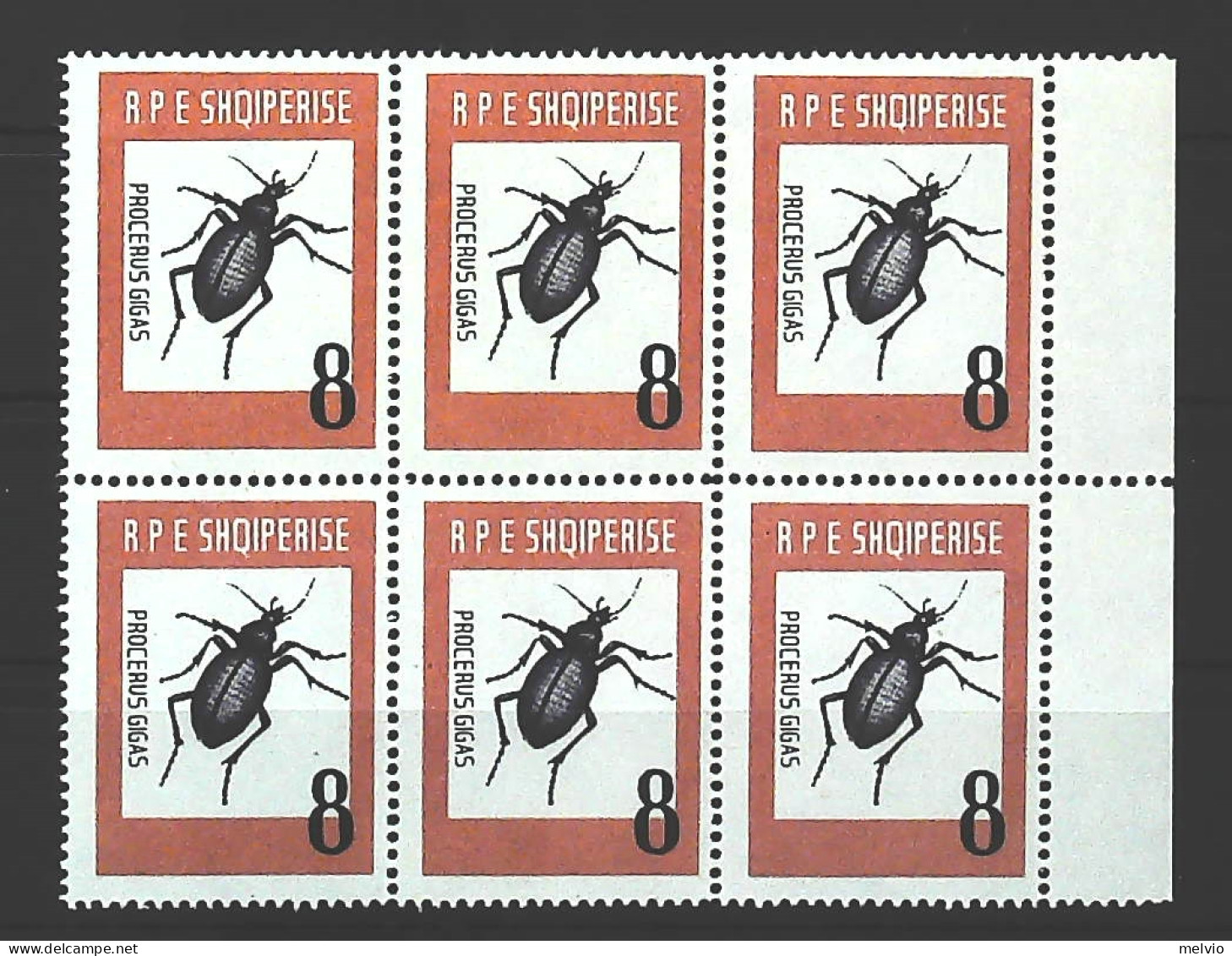 1963-Albania (MNH=**) Blocco Di 6 Valori Del Numero Cat.Yvert 737 Procerus Gigas - Albania