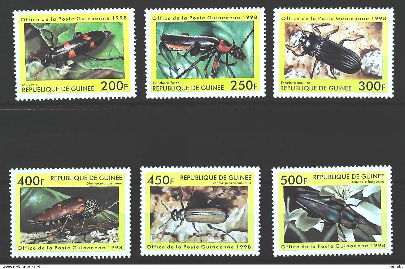 1998-Guinea (MNH=**) Serie 6 Valori Insetti - República De Guinea (1958-...)