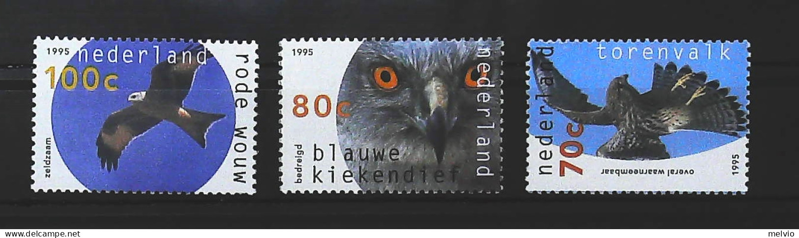1995-Olanda (MNH=**) Serie 3 Valori Uccelli - Ungebraucht