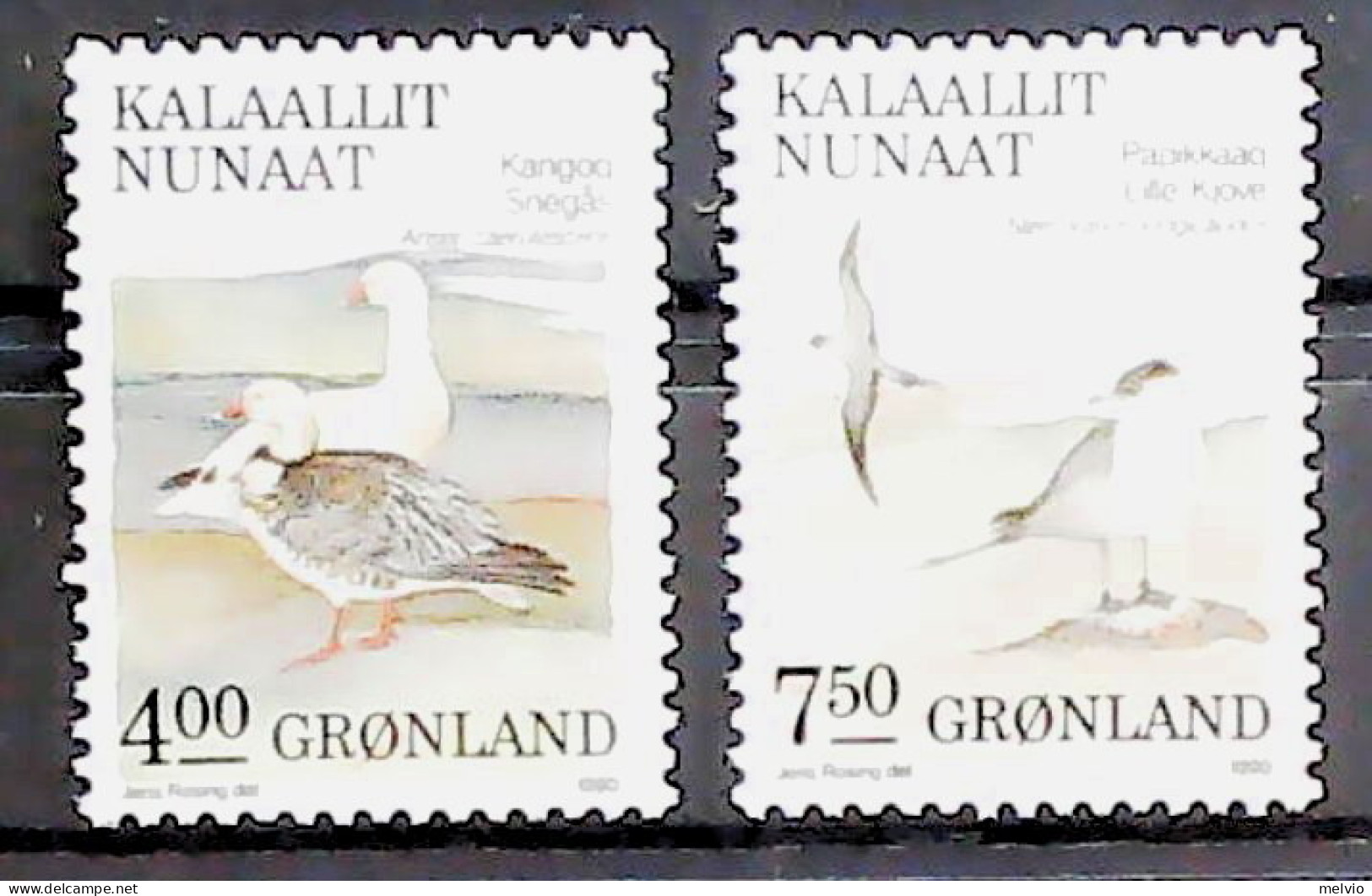 1990-Groenlandia (MNH=**) Serie 2 Valori Uccelli - Ongebruikt