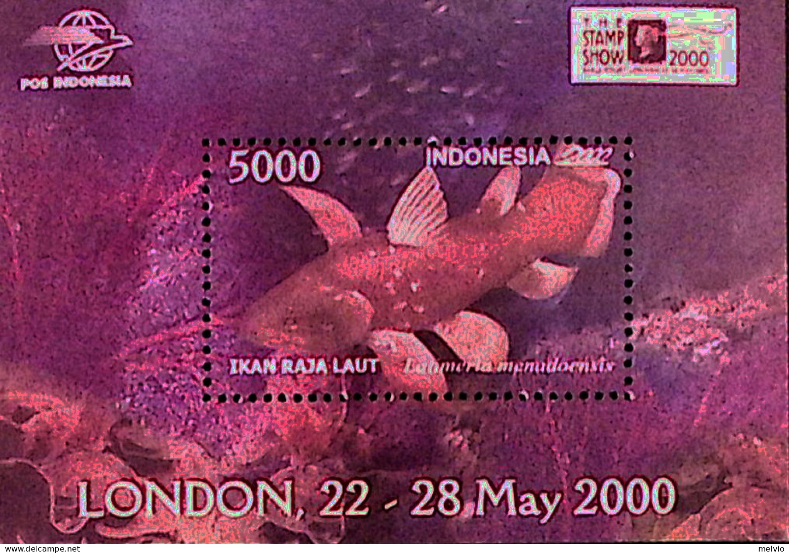 2000-Indonesia (MNH=**) Foglietto 1 Valore Londra 2000, Pesce - Indonesien