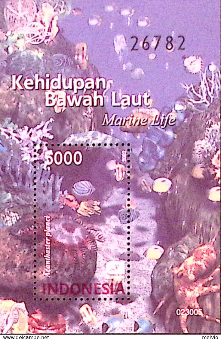 2002-Indonesia (MNH=**) Foglietto Serie 1 Valore Fauna Marina Pesci - Indonesië