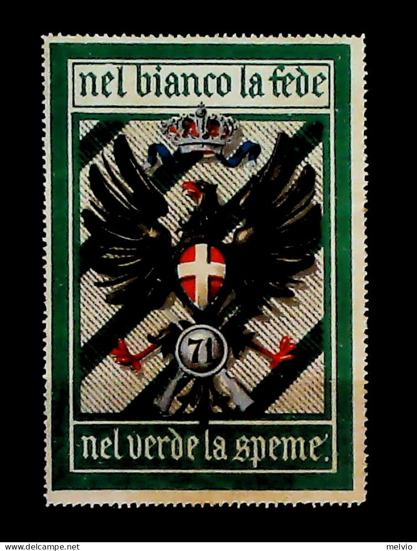 Italia Erinnofilo Ordini Militari "Nel Bianco La Fede-nel Verde La Speme" - Vignetten (Erinnophilie)