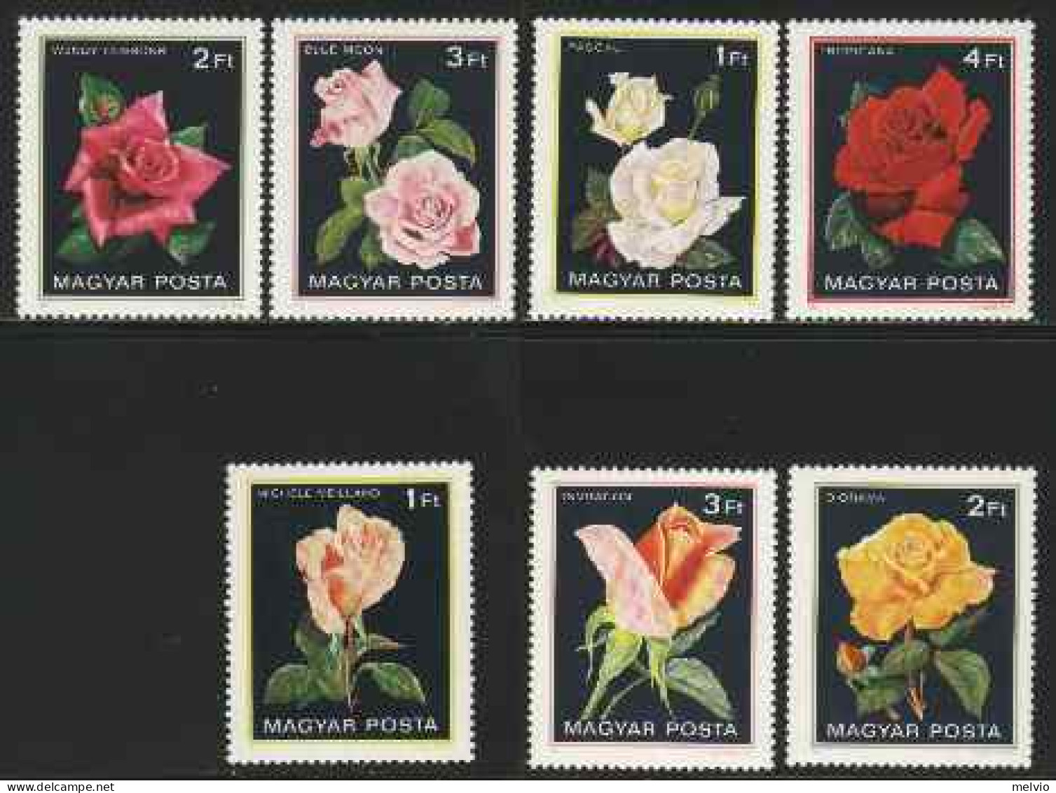 1982-Ungheria (MNH=**) S.7v."Fiori Rose"catalogo Yvert Euro 6 - Otros & Sin Clasificación