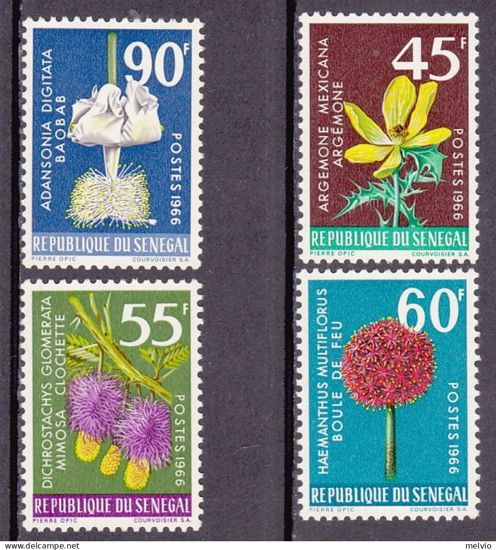 1966-Senegal (MNH=**) S.4v."Fiori"catalogo Yvert Euro 5,5 - Sénégal (1960-...)
