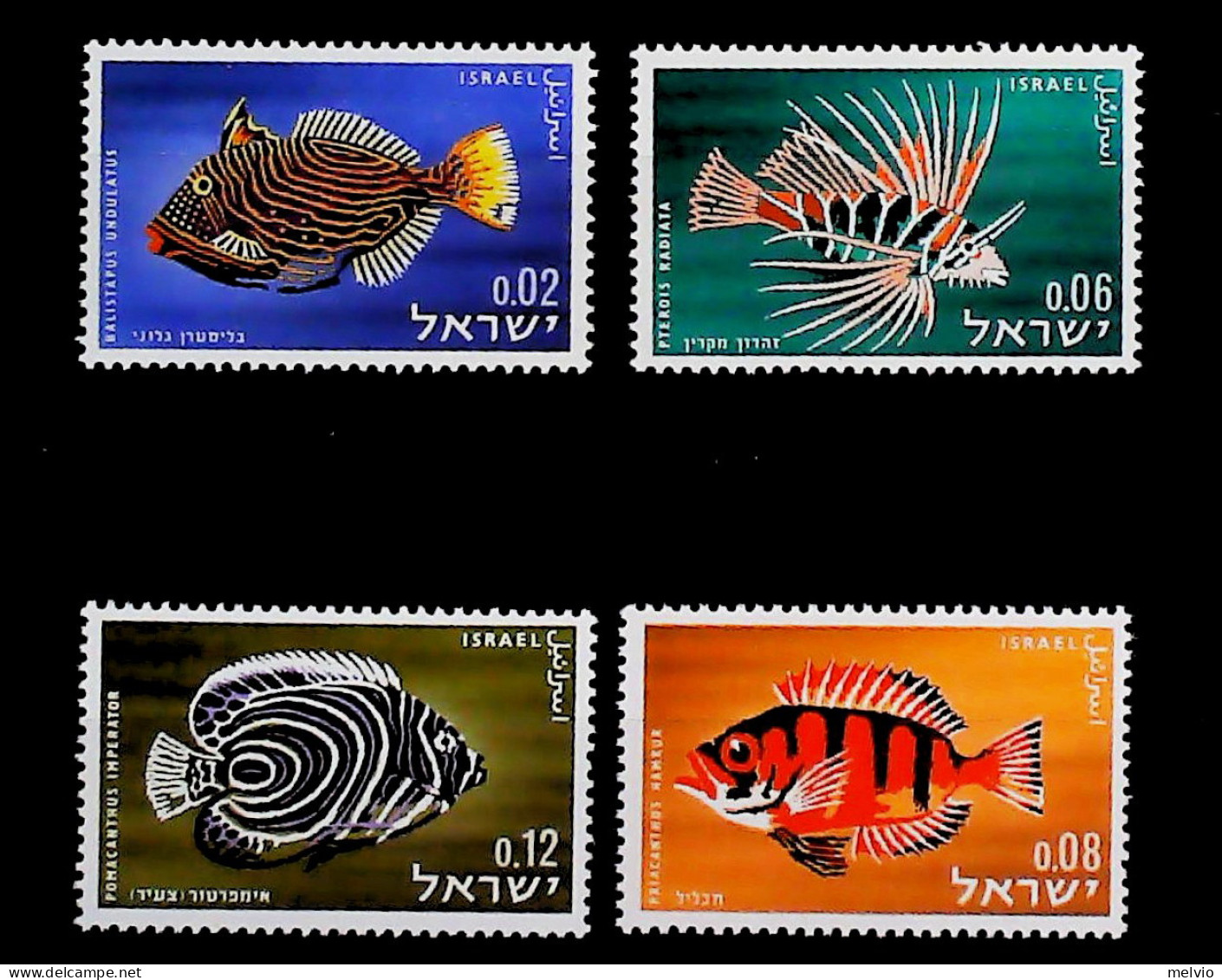 1963-Israele (MNH=**) Serie 4 Valori Pesci - Other & Unclassified