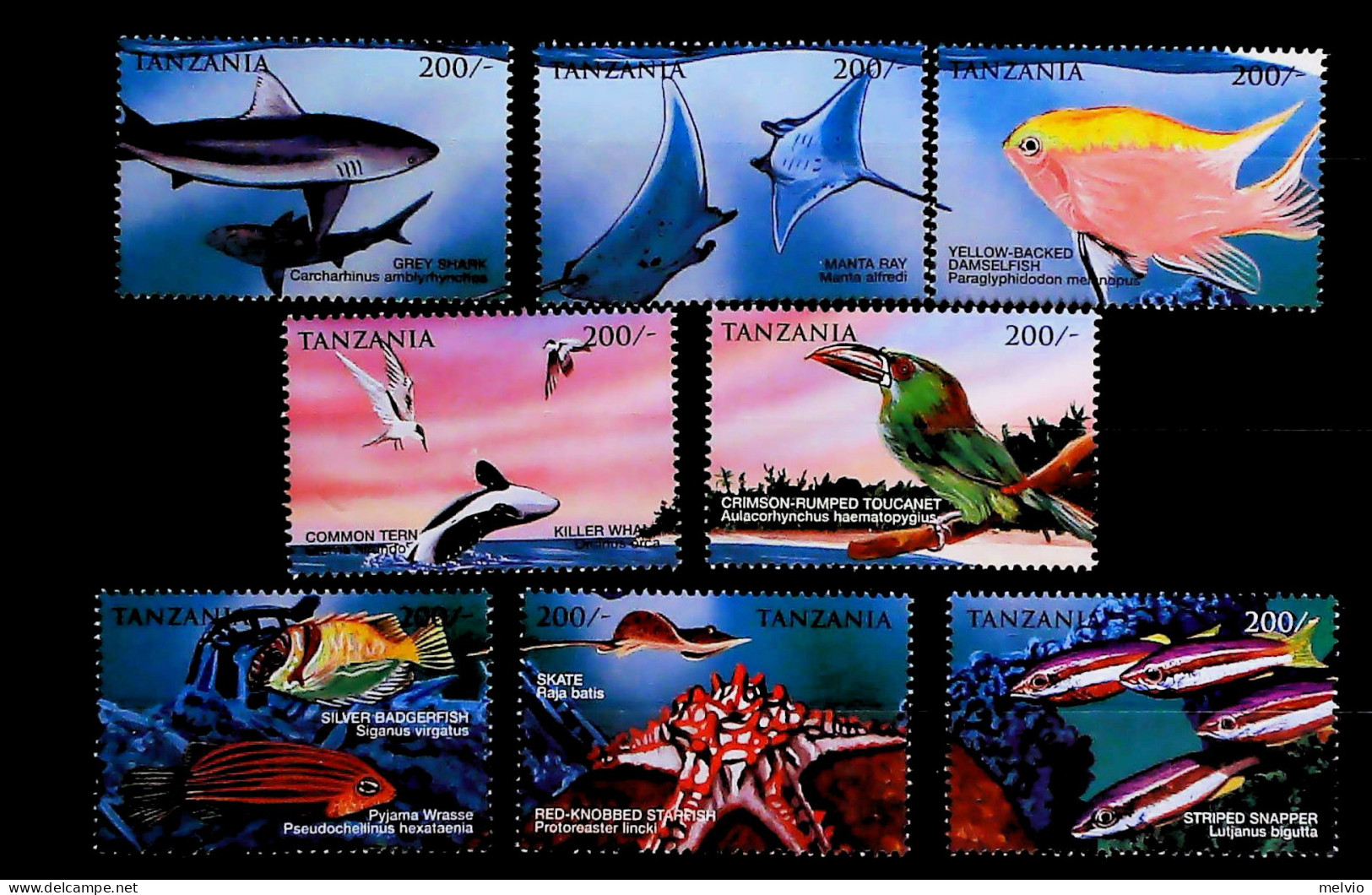 1999+Tanzania (MNH=**) 8 Valori Fauna Marina Pesci - Tansania
