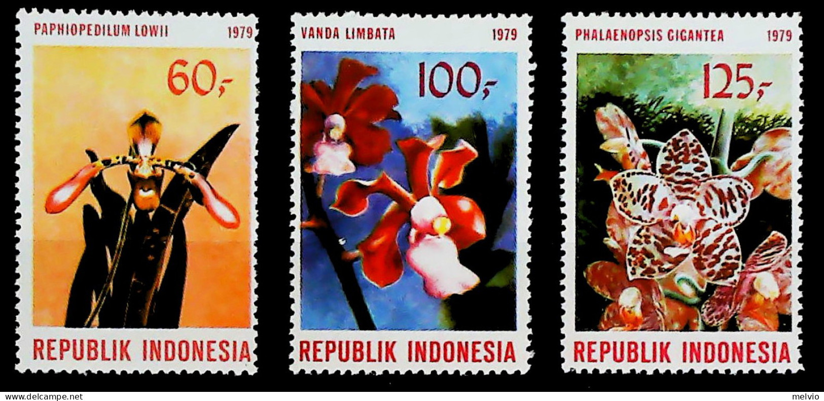 1979-Indonesia (MNH=**) Serie 3 Valori Orchidee - Indonesië