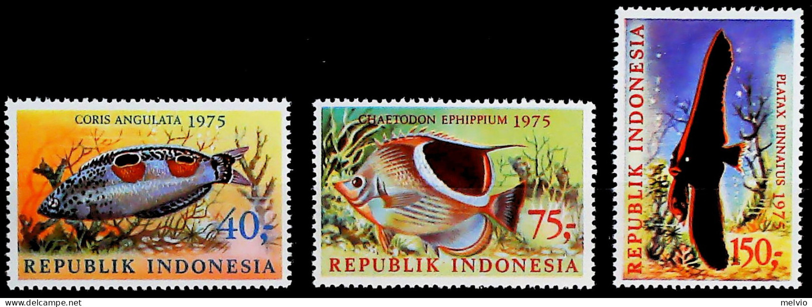 1975-Indonesia (MNH=**) Serie 3 Valori Pesci - Indonésie