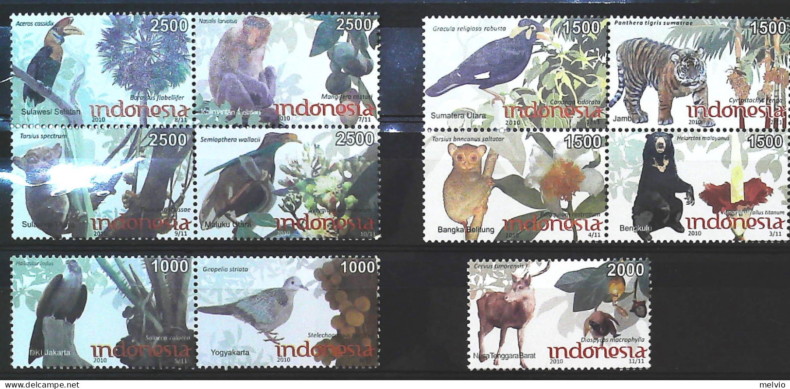 2010-Indonesia Serie 11 Valori Tigre Orso Marsupiali Uccelli Cervo Pappagallo - Indonesië