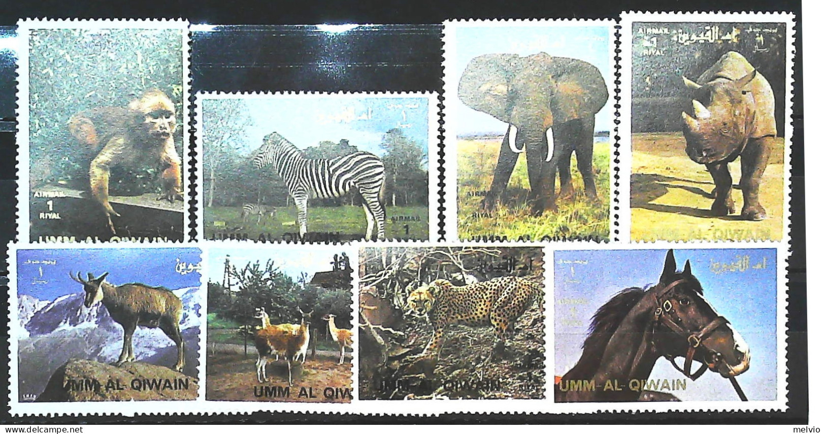 1977-Umm Al Qiwain (MNH=**) Scimmia Antilopi Ghepardo Elefante Rinoceronte Caval - Umm Al-Qaiwain