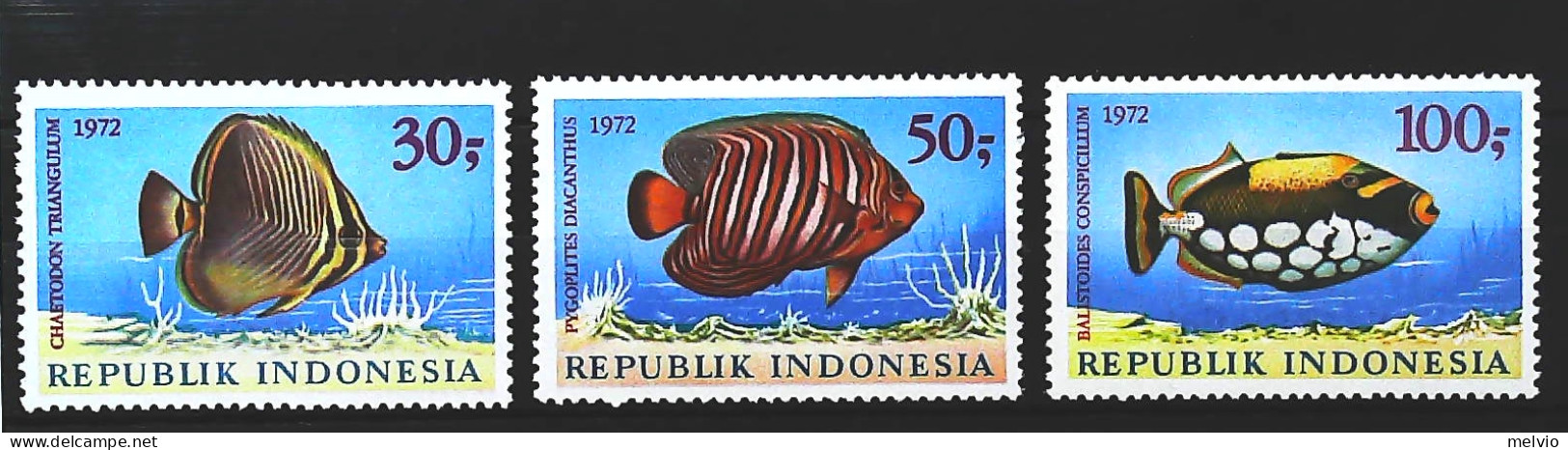 1972-Indonesia (MNH=**) Serie 3 Valori Pesci - Indonesien
