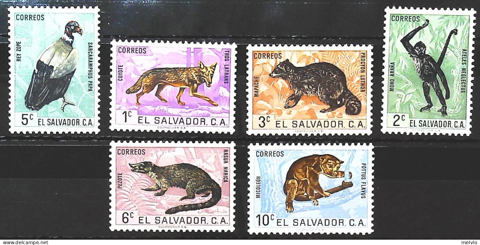 1963-El Salvador (MNH=**) Serie 6 Valori Avvoltoio Volpe Scimmia - Salvador