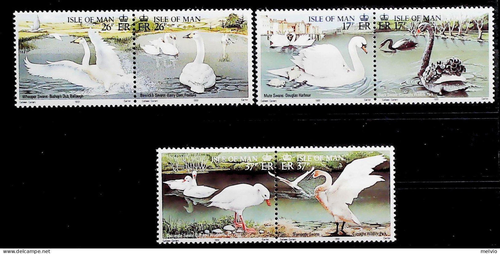 1991-Isola Di Man (MNH=**) Serie 6 Valori Uccelli Cigni - Isla De Man