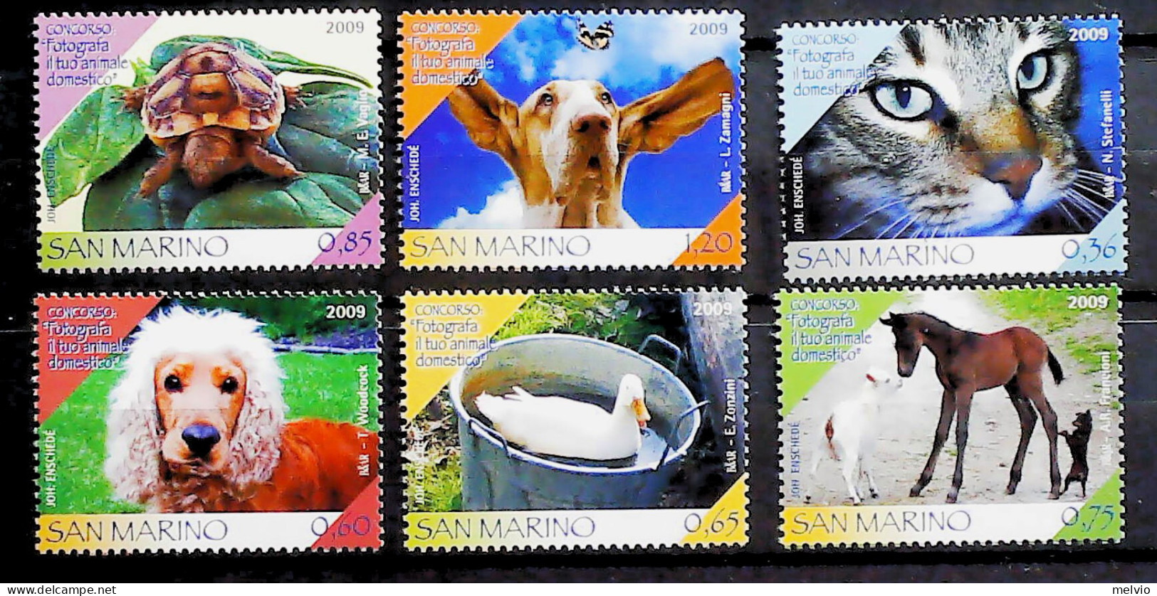 2009-San Marino (MNH=**) Serie 6 Valori Tartaruga Cane Gatto Cavallo - Unused Stamps
