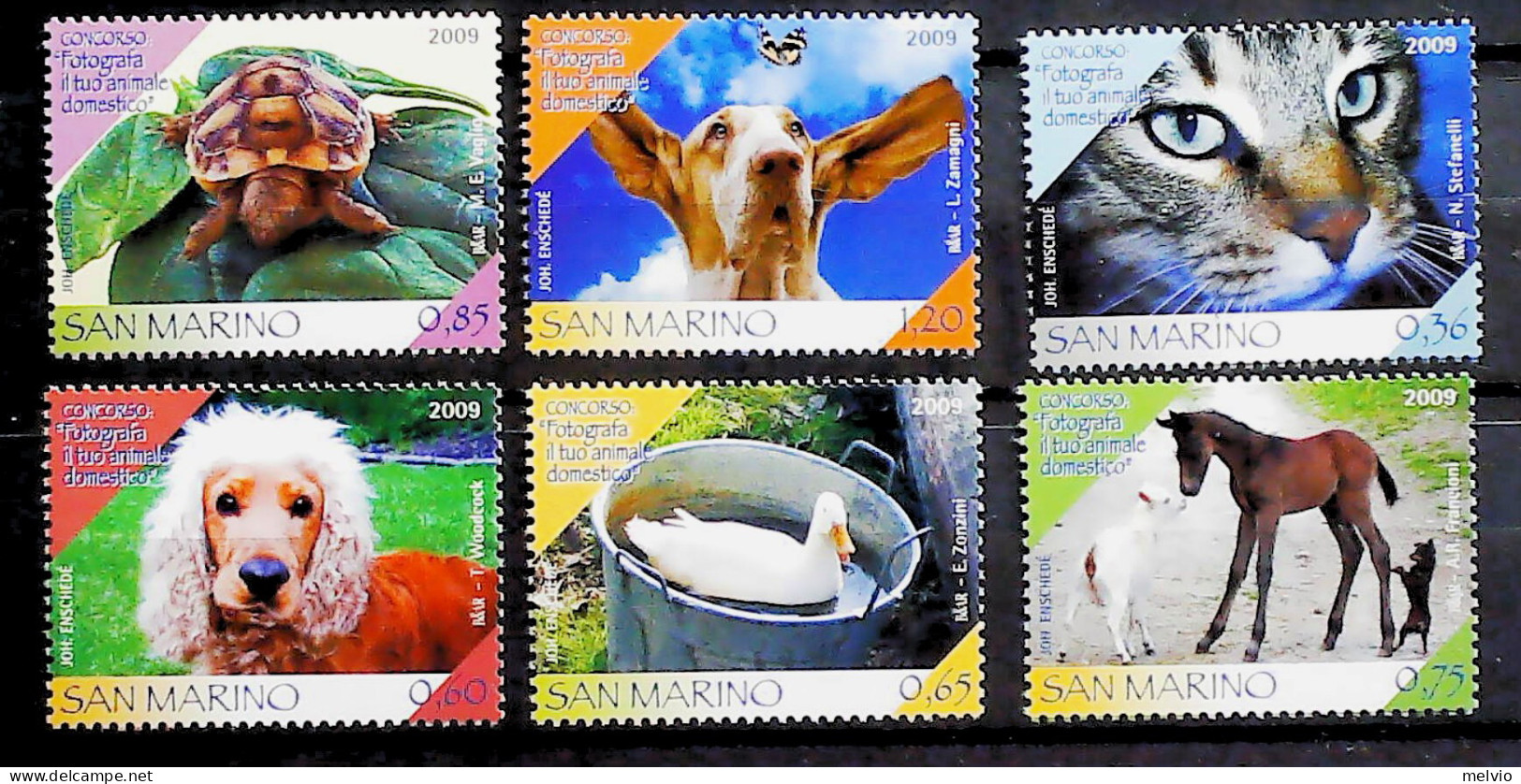 2009-San Marino (MNH=**) Serie 6 Valori Tartaruga Cane Gatto Cavallo - Ungebraucht