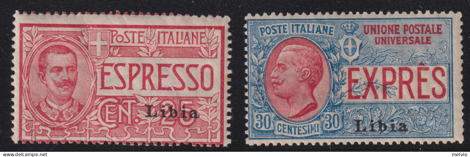 1915-Libia (MNH=**) Espressi 2 Valori (1/2) - Libye