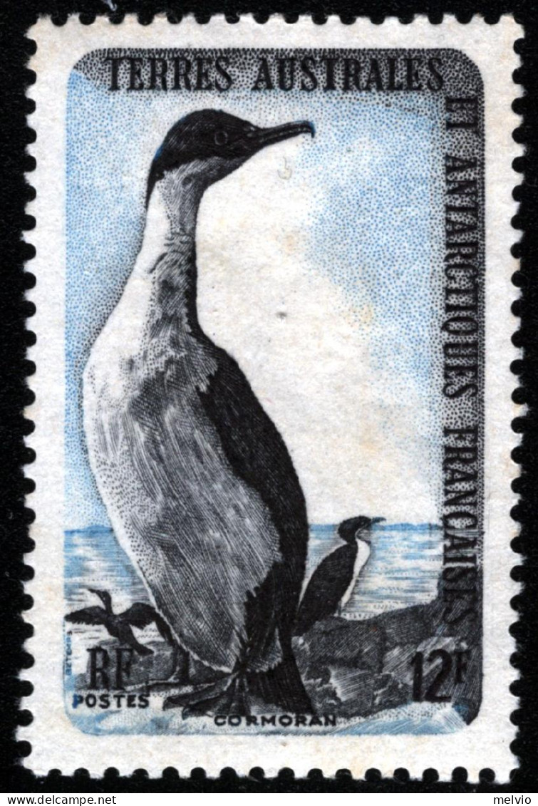 1959-Antartico Francese (MNH=**) 12fr. Pinguino - Nuevos