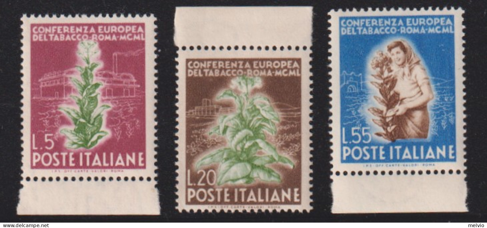 1950-Italia (MNH=**) Serie 3 Valori Tabacco Con Bordo Di Foglio - 1946-60: Nieuw/plakker