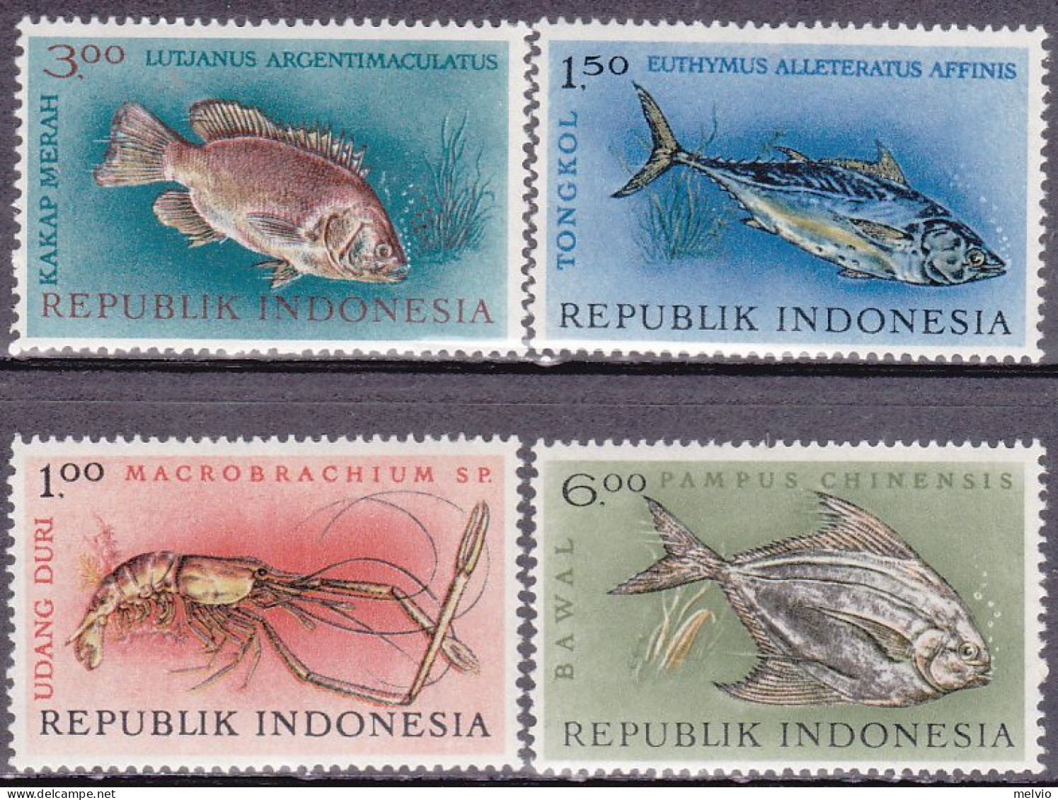 1963-Indonesia (MNH=**) S.4v."fauna Marina"catalogo Euro 3,5 - Indonesië