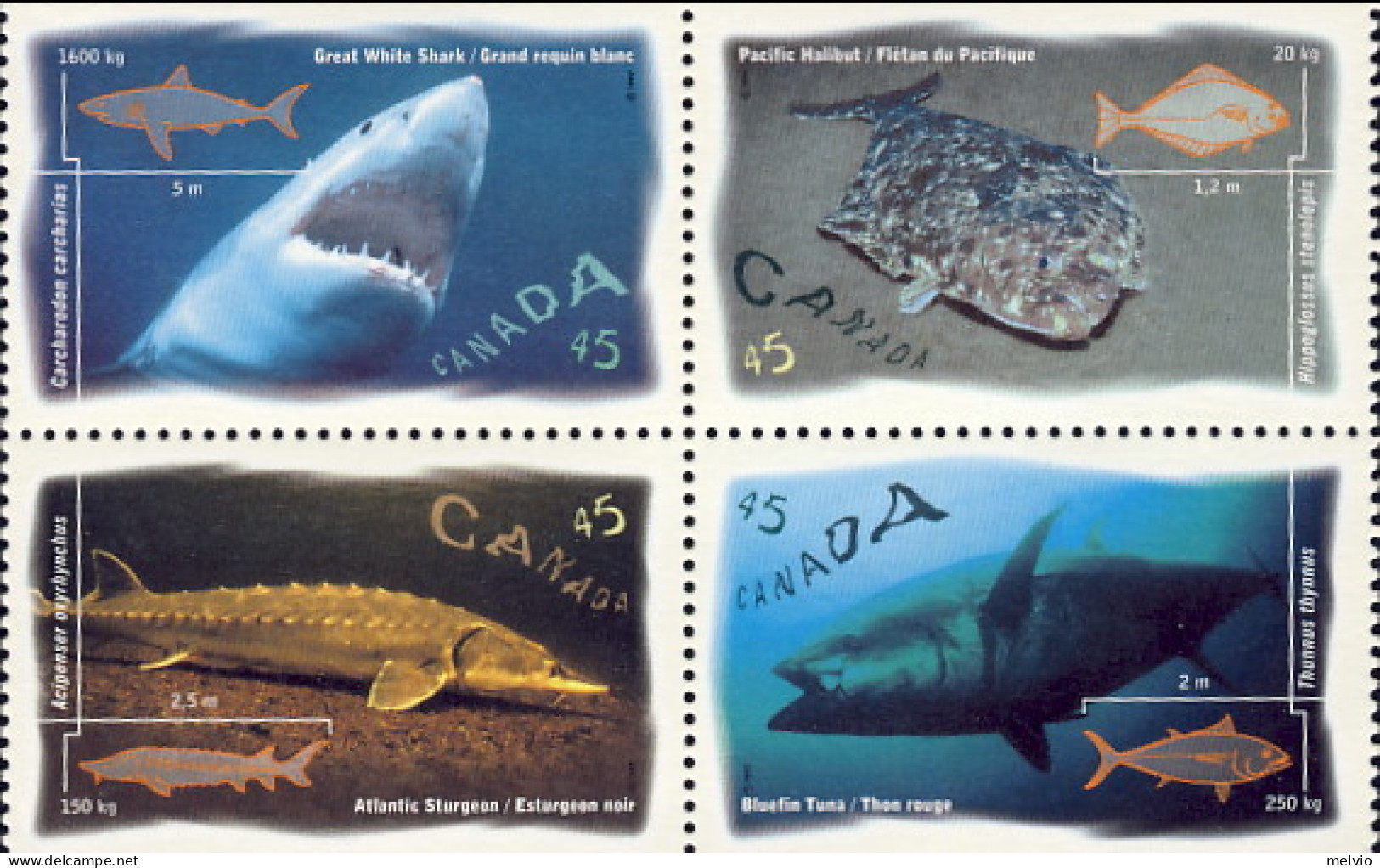1997-Canada (MNH=**) S.4v."pesci Oceanici"catalogo Euro 5 - Otros & Sin Clasificación