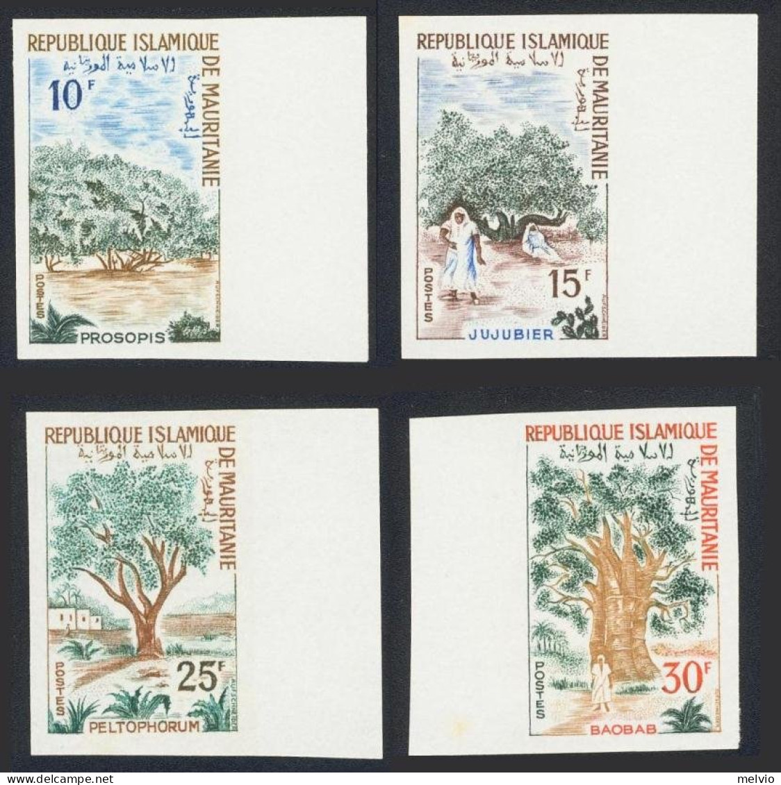 1967-Mauritania (MNH=**) 4 Valori Non Dentellati "alberi Diversi" Bordo Di Fogli - Mauretanien (1960-...)