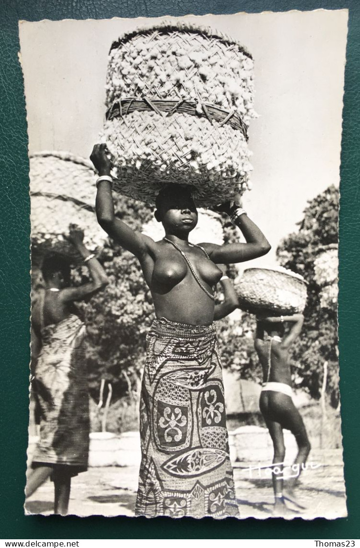 Porteuses De Coton, Lib "Au Messager", N° 648 - Kamerun