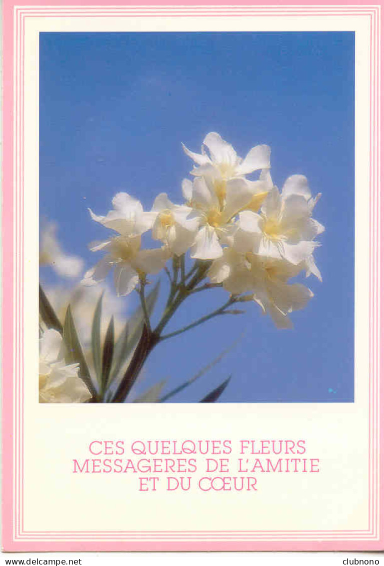 CPSM  - CES QUELQUES FLEURS MESSAGERES DE L'AMITIE ET DU COEUR - Sonstige & Ohne Zuordnung