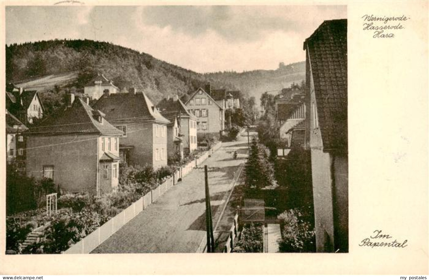 73939594 Wernigerode_Harz Im Papental - Wernigerode