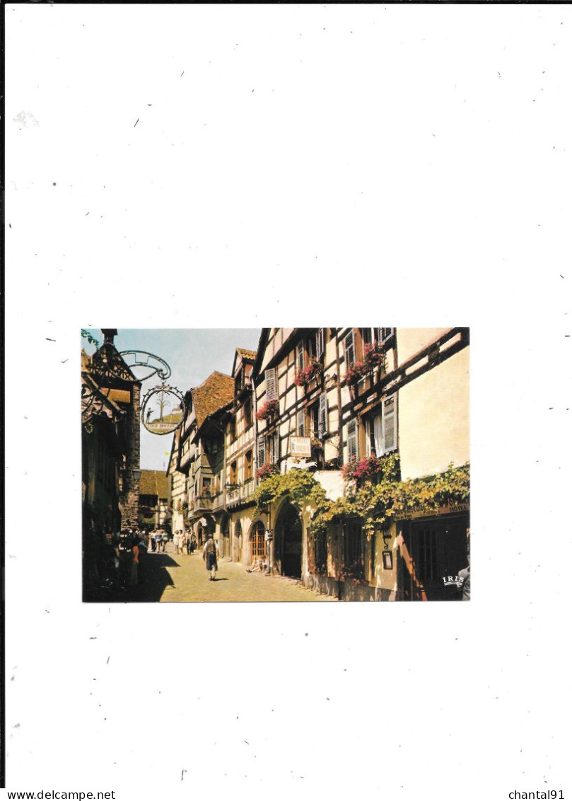 CARTE POSTALE 68 RIQUEWHIR CITE MEDIEVALE - Riquewihr