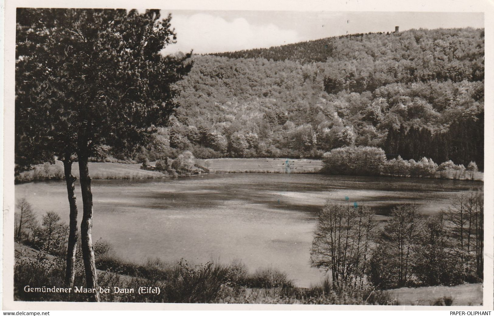 5568 DAUN, Gemündener Maar 1955, Verlag Scharbach - Daun