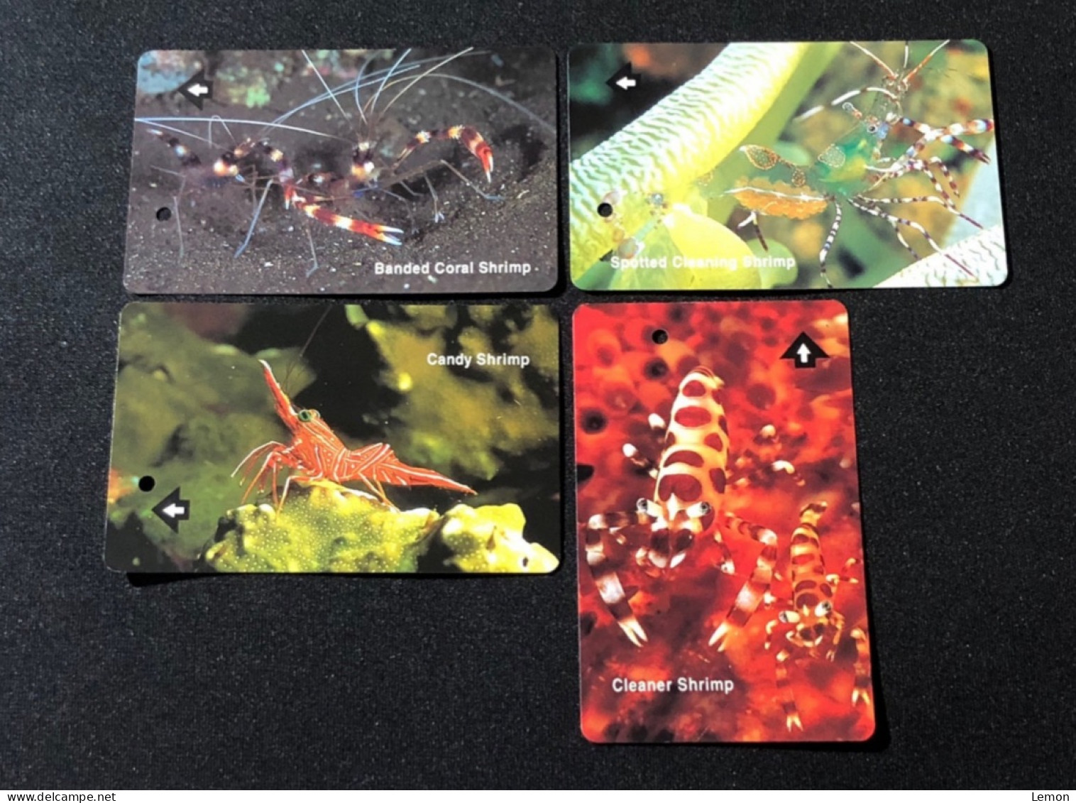 Singapore SMRT TransitLink Metro Train Subway Ticket Card, Sea Shrimp, Set Of 4 Used Cards - Singapour