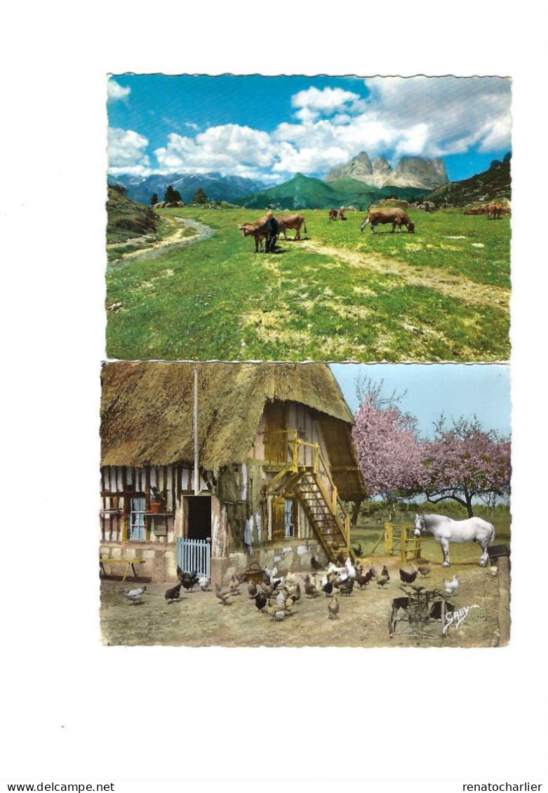 Lot De 8 Cartes Postales"Animaux". - Collections & Lots