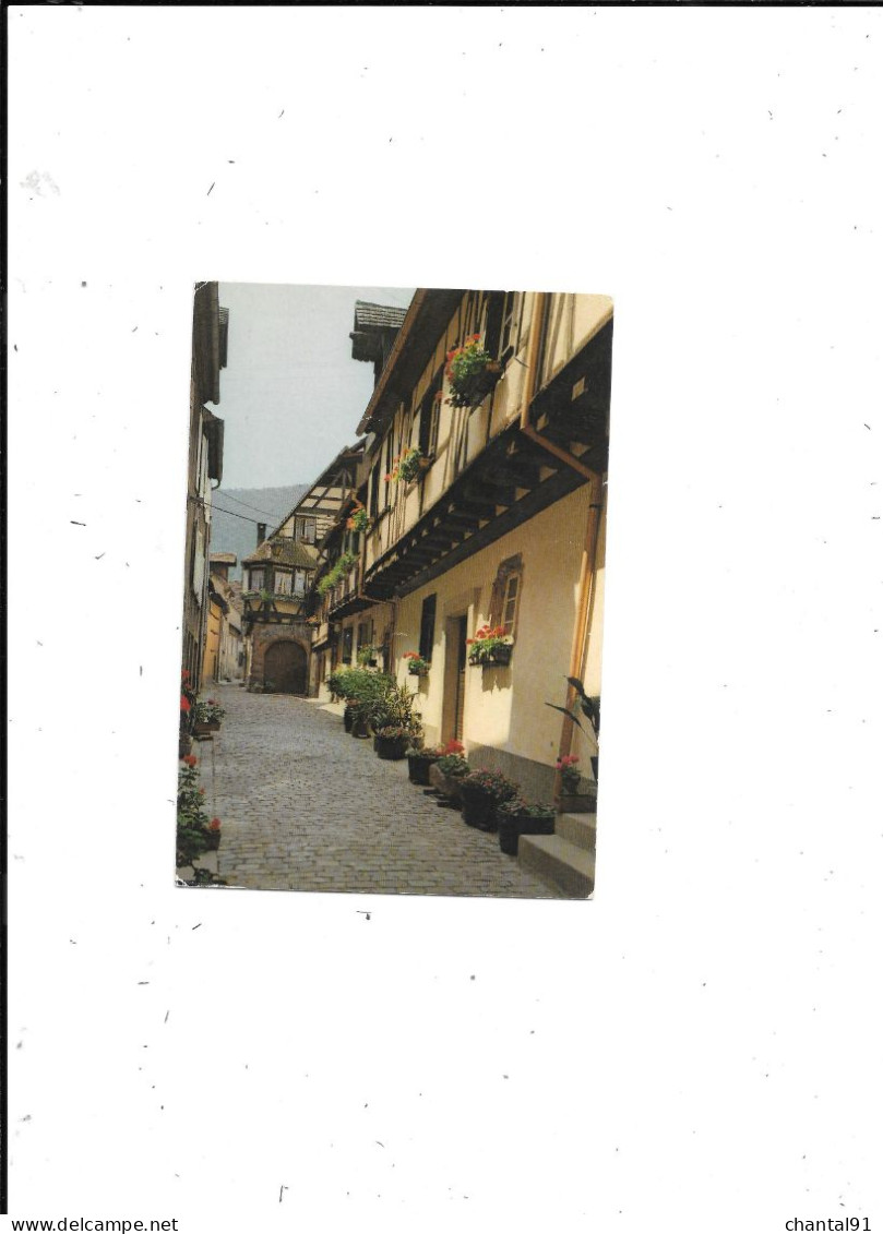 CARTE POSTALE 68 KAYSERSBERG RUE DE L'EGLISE - Kaysersberg